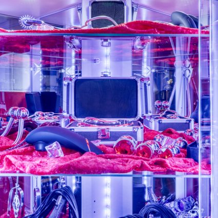 Die Vitrine ist mit ihren Toys thematisch nach „Themen“ geordnet. Der Bereich „Eindringliches“ hat Edelstahl-Toys, Plugs, Dildos, etc. - alles wird vor jedem neuem Gast hygienisch desinfiziert.