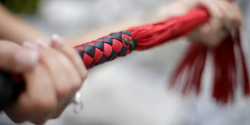 Workshop The Art of the Whip