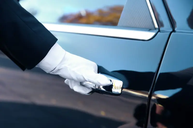The Chauffeur