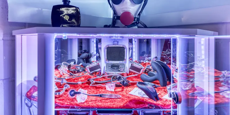 Toy cabinet: Womanizer, Magic Wand and more