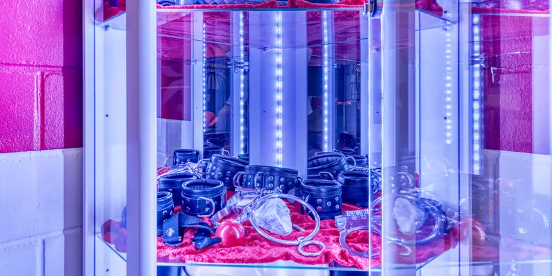 Toy cabinet: restraints and handcuffs