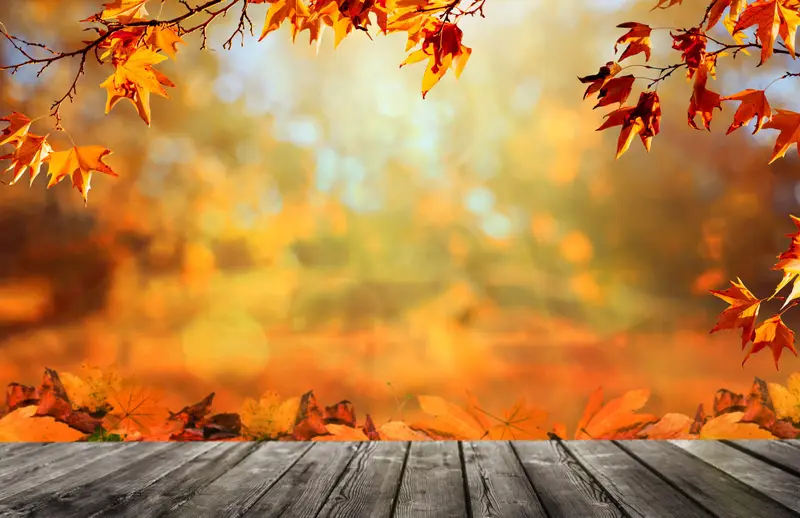 Herbst MR