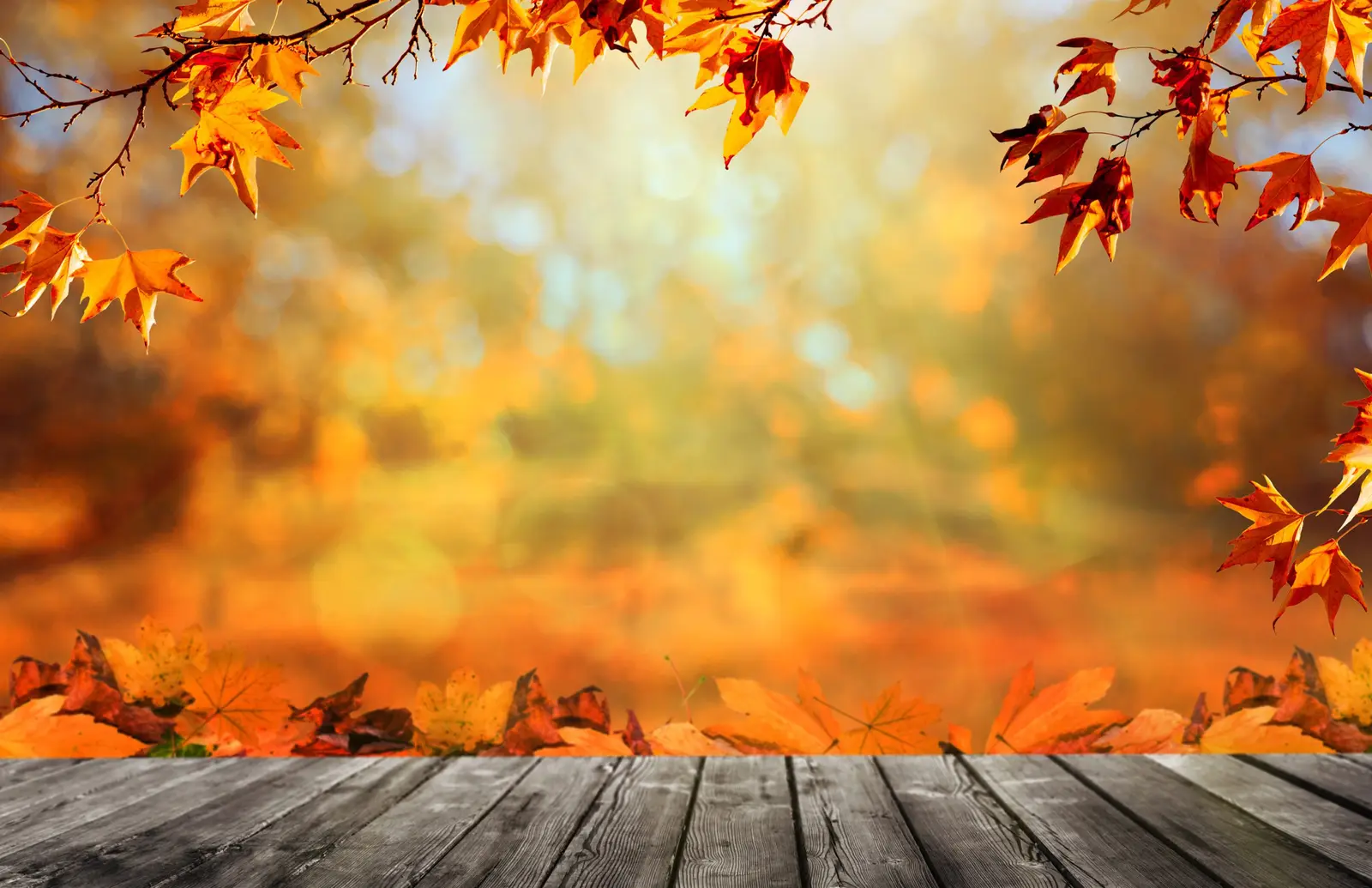 Herbst MR
